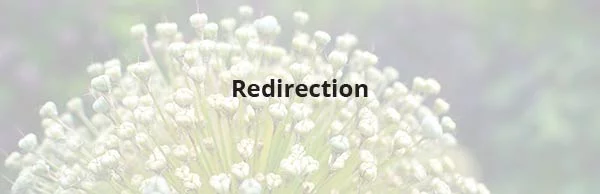 Redirection Wordpress Plugin to Redirect Pages Redirection WordPress plugin to redirect pages